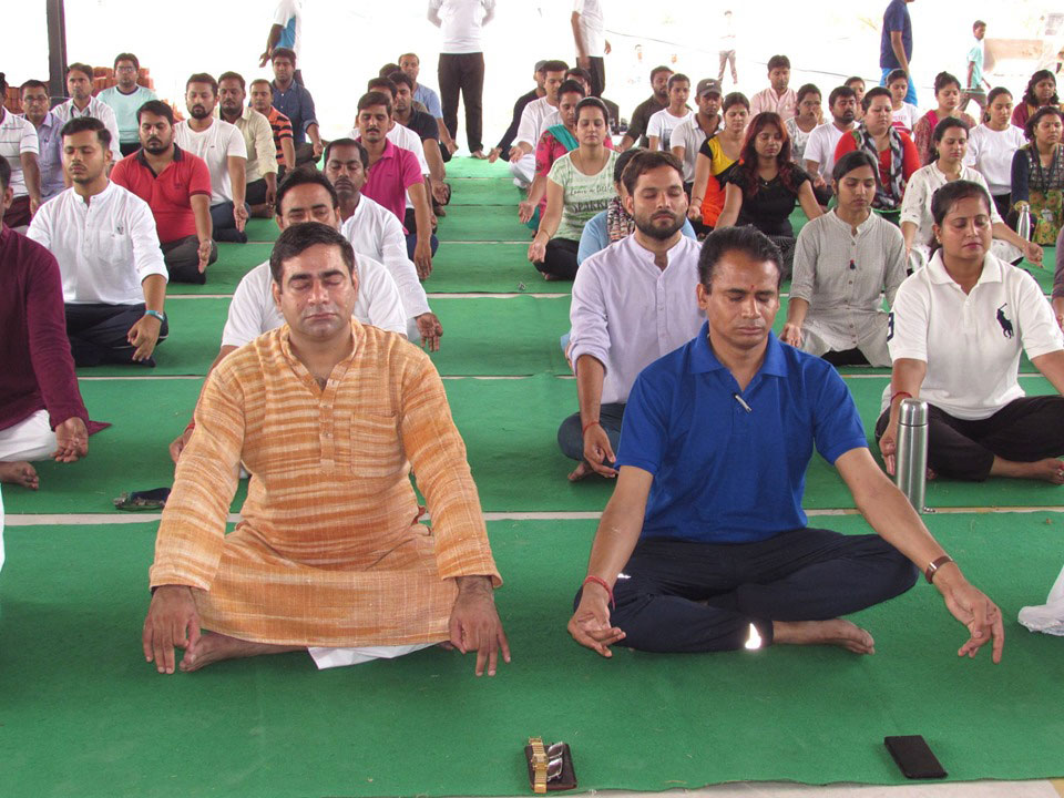 Dps gaya app picture