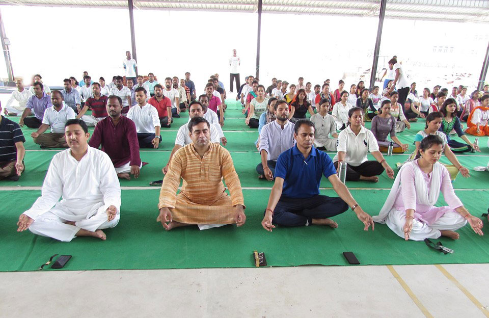 Dps gaya director picture